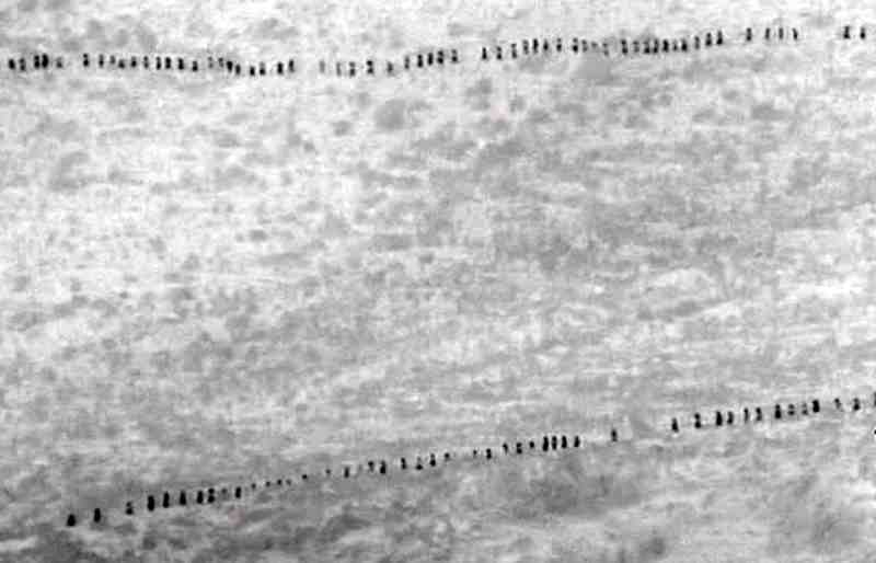 Guardia Civil y Marruecos abortan un asalto de 1.000 inmigrantes a Melilla