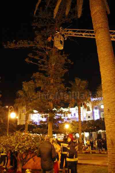 Un argelino se sube por segunda vez a un árbol de la Plaza de España para pedir su traslado a la Península