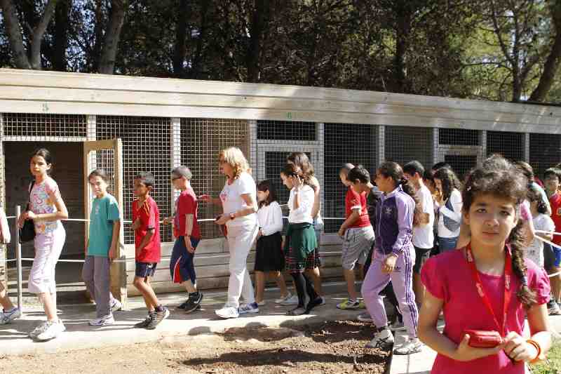 Melilla se suma al Día del Medio Ambiente que fomenta alimentación sostenible
