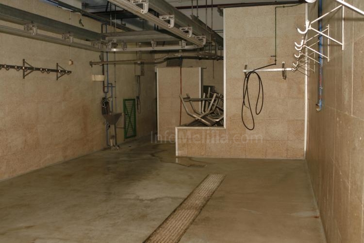 El matadero municipal vive una jornada de total tranquilidad a pesar de abrir sus puertas para el sacrificio de borregos