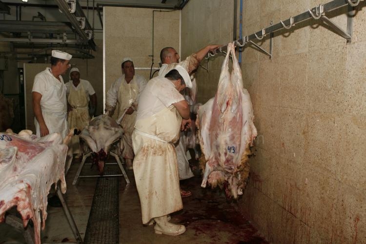 Tan sólo 75 familias musulmanas eligen el matadero municipal para el sacrificio de sus borregos