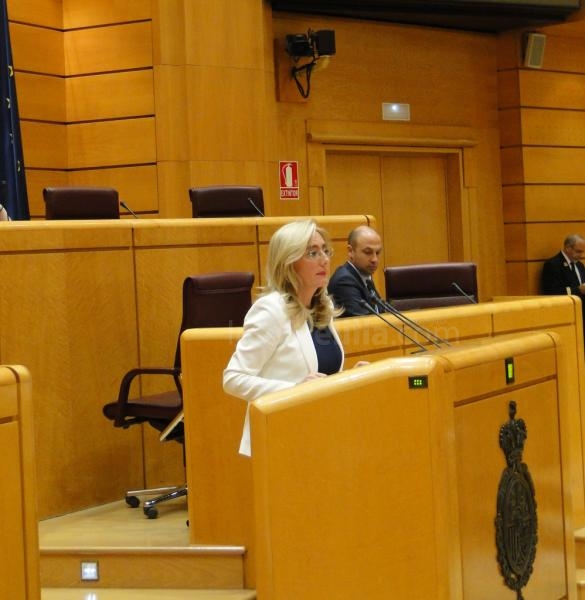 El Senado pide que se concrete la atención a niños víctimas violencia género