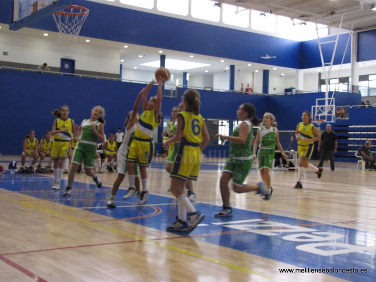 Baloncesto Cantera: Resultados del fin de semana