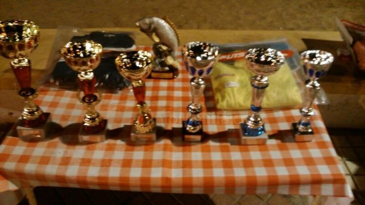 Imagen de los trofeos entregados a los distintos vecedores