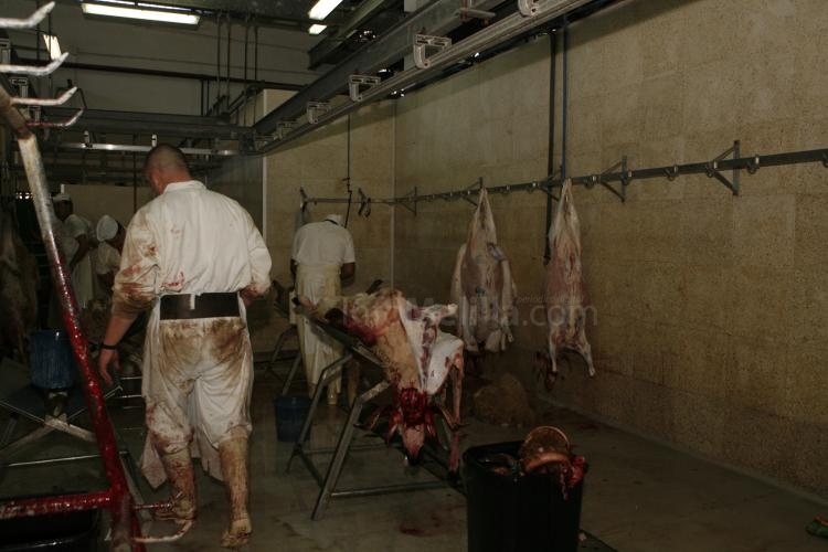 Tan sólo 75 familias musulmanas eligen el matadero municipal para el sacrificio de sus borregos