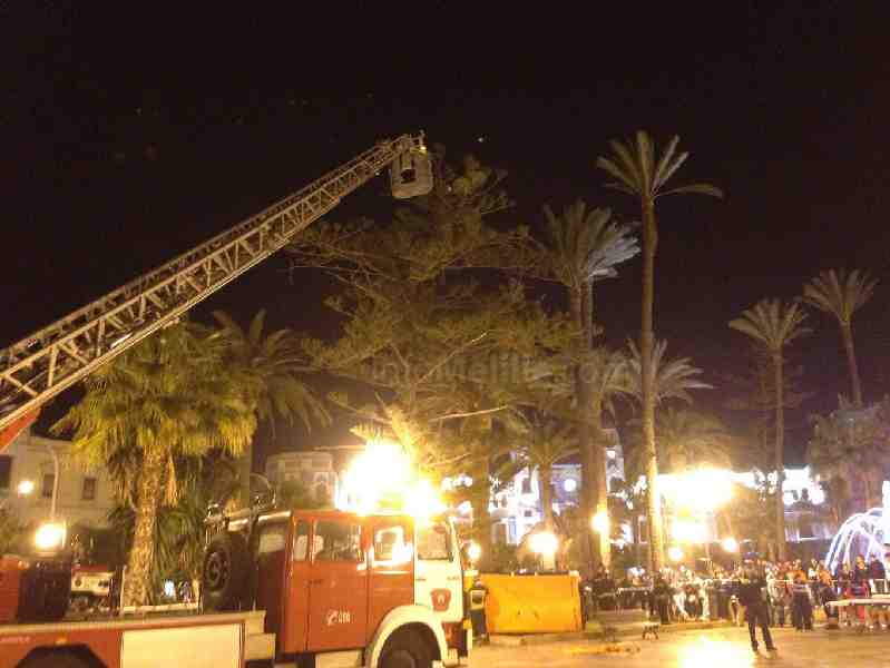 Un argelino vuelve a subirse a un árbol y termina saltando al colchón de los bomberos