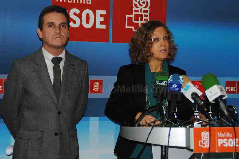 PSOE plantea más medios técnicos y humanos como alternativa a la concertina