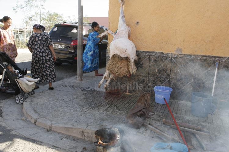 Más de 5.100 borregos sacrificados hoy en Melilla para la celebración del Aid El Kebir