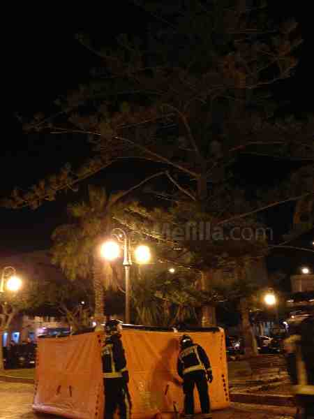 Un argelino vuelve a subirse a un árbol y termina saltando al colchón de los bomberos