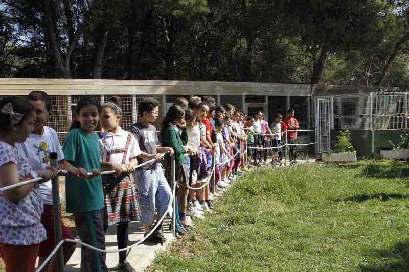 Melilla se suma al Día del Medio Ambiente que fomenta alimentación sostenible