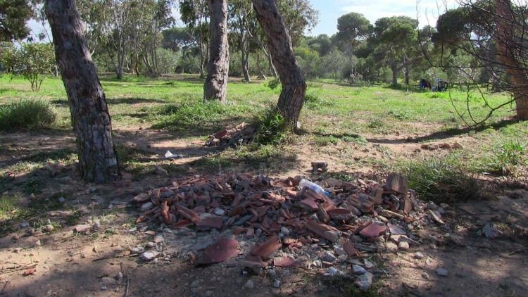 Equo denuncia el estado de suciedad en el que se encuentra la ciudad y acusa a la Ciudad de fomentar la situación