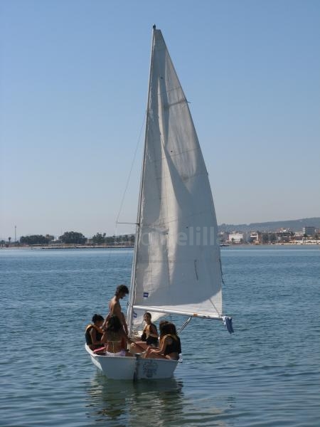 Vela