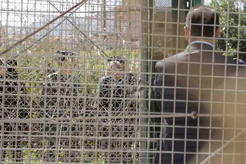 El ministro del Interior anuncia importantes mejoras en la valla de Melilla y confía en que ayuden a paliar los efectos de la gran presión migratori