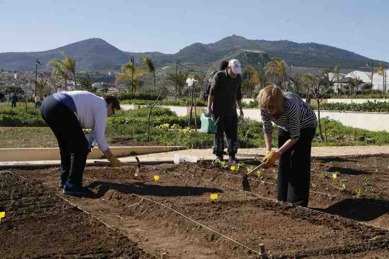 Melilla impulsa los huertos sociales como nueva actividad para mayores