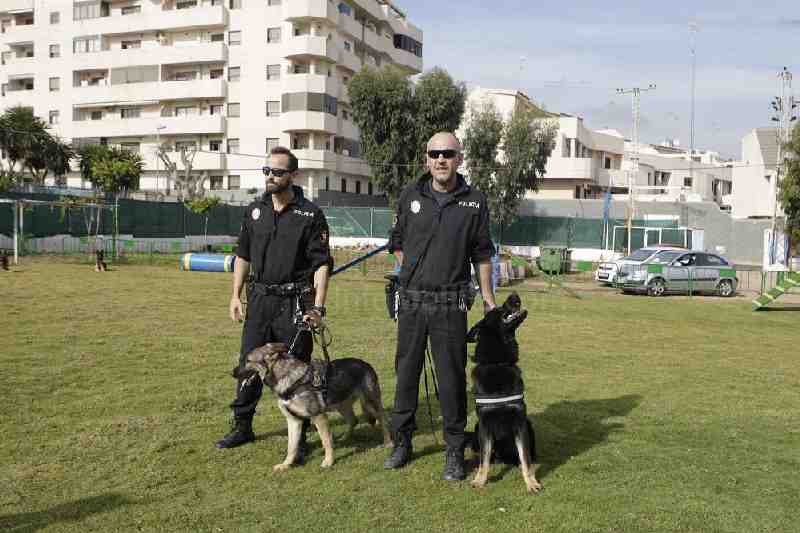 La Policía Local de Melilla refuerza su unidad canina con dos nuevos perros