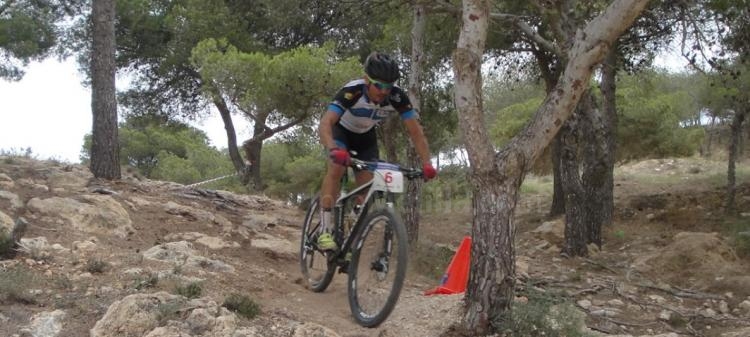 Ayoub Zizaoui