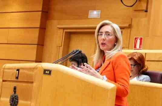 María del Carmen Dueñas, presidenta de la Comisión de Igualdad en la Cámara Alta