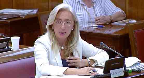 Mª Carmen Dueñas, presidenta de la Comisión de Igualdad en el Senado