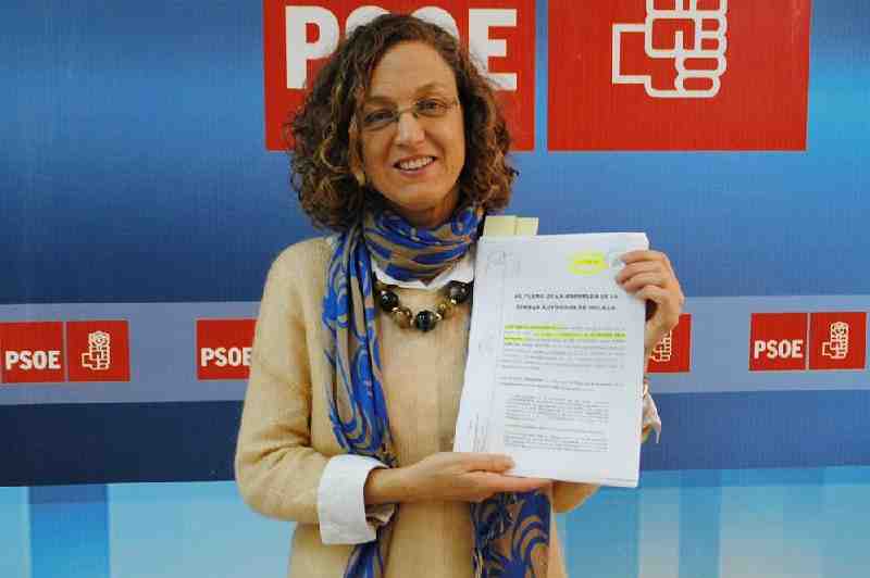 Gloria Rojas, vicesecretaria general del PSOE