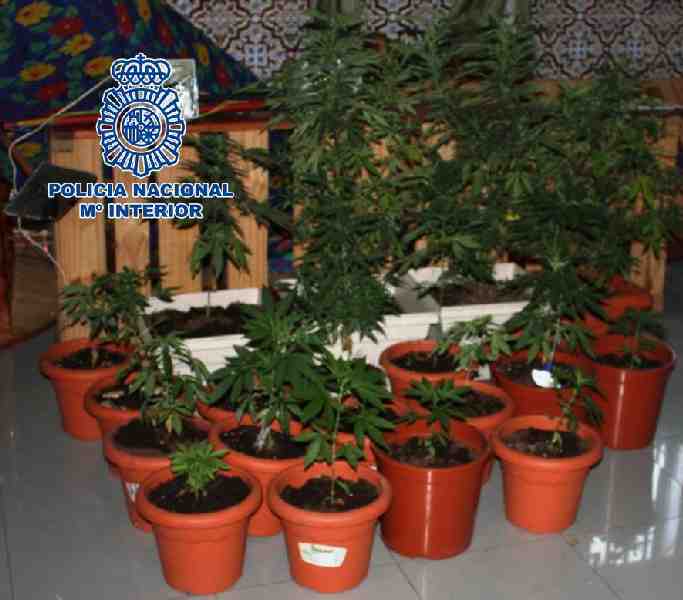 La Policía Nacional desarticula un punto de venta de droga en la barriada de Reina Regente