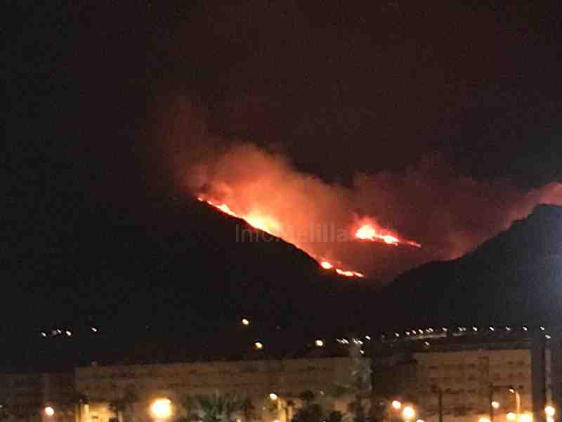 El incendio en el Gurugú ha arrasado al menos 80 hectáreas del monte