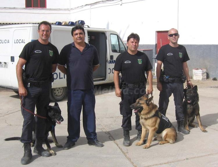 Agentes y canes, preparados para la demostración.