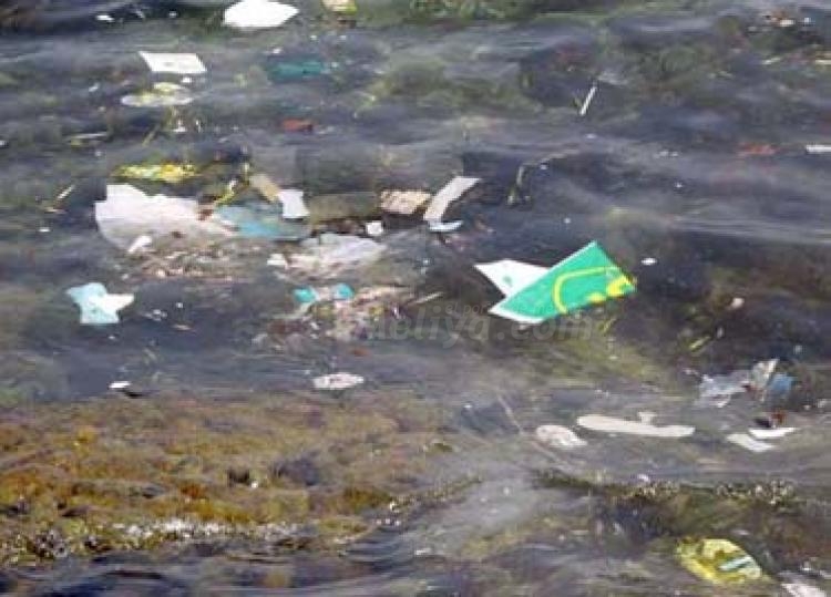 La costa melillense, como todo el Mediterráneo, amenazada por la contaminación