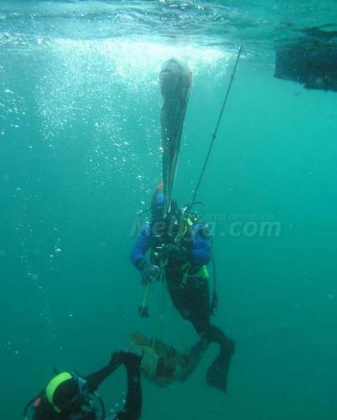 Jesús de Nazaret nace también en los fondos marinos de Aguadú