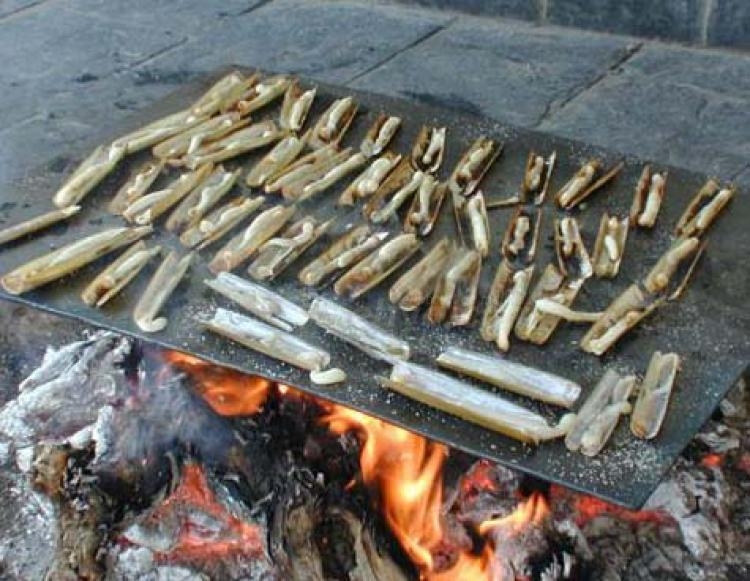 Cuidado con el consumo de bivalvos sin las correspondientes garantías sanitarias