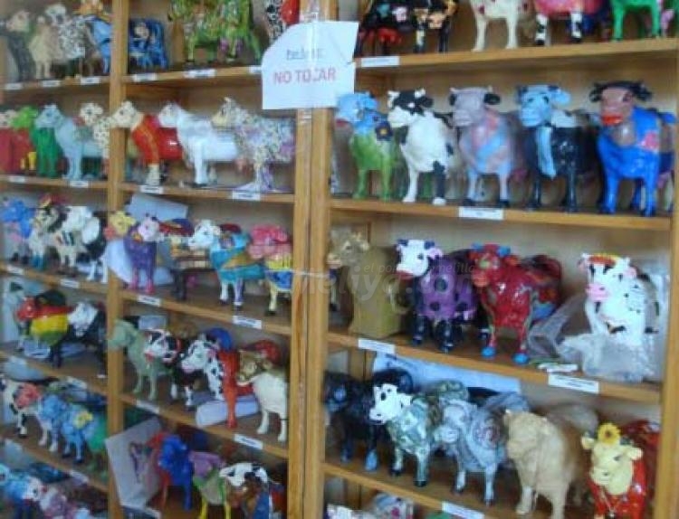 Las vacas más guapas, en la Mezquita del Toreo para todos los melillenses