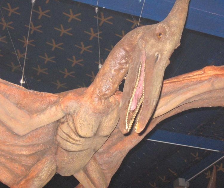 Viaje al maravilloso mundo de los últimos dinosaurios y los primeros seres humanos