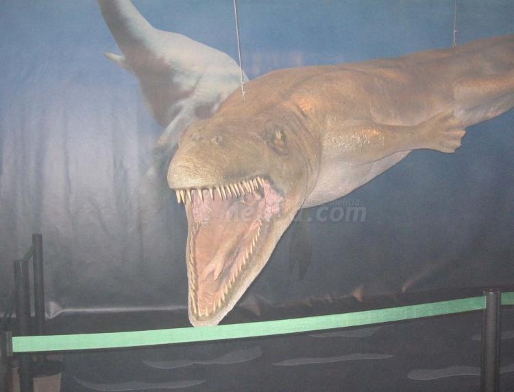 Viaje al maravilloso mundo de los últimos dinosaurios y los primeros seres humanos