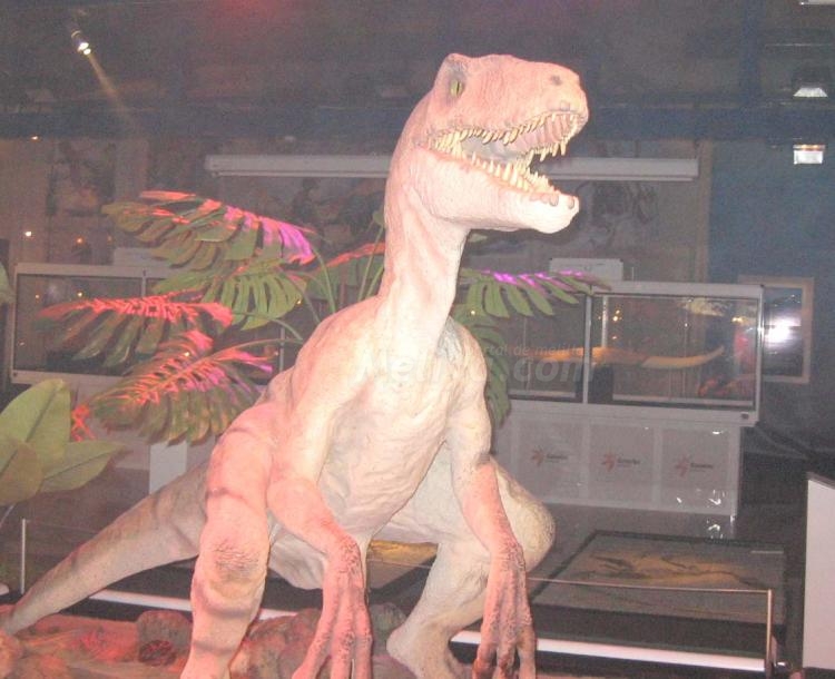 Viaje al maravilloso mundo de los últimos dinosaurios y los primeros seres humanos