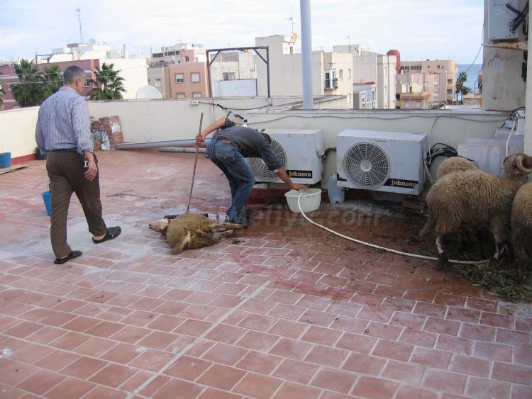 Amaruch, la Fiesta Grande en el seno de una familia melillense