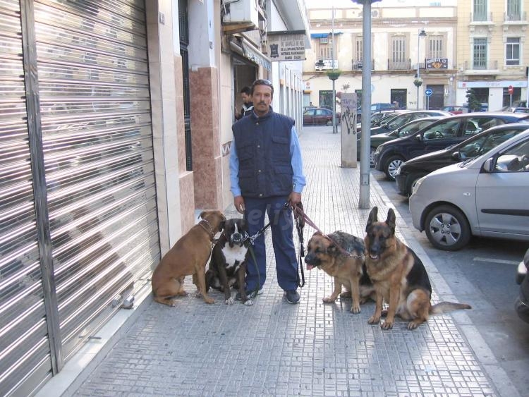 Rachid gobierna con temple a las mascotas