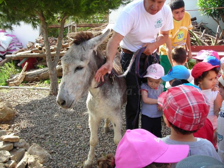 Los 'peques' del Enrique Soler disfrutan de una jornada medioambiental en la Granja Escuela