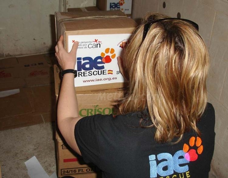 Voluntarios melillenses de IAE: Misión cumplida en el desastre haitiano