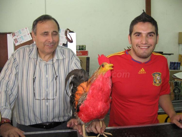 Ponga un 'Gallo' en su vida, por el amor de Dios