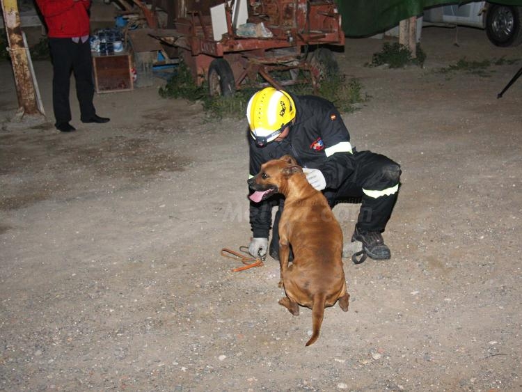 Intervención, Ayuda y Emergencias cumplió en la estrategia anti-tusami