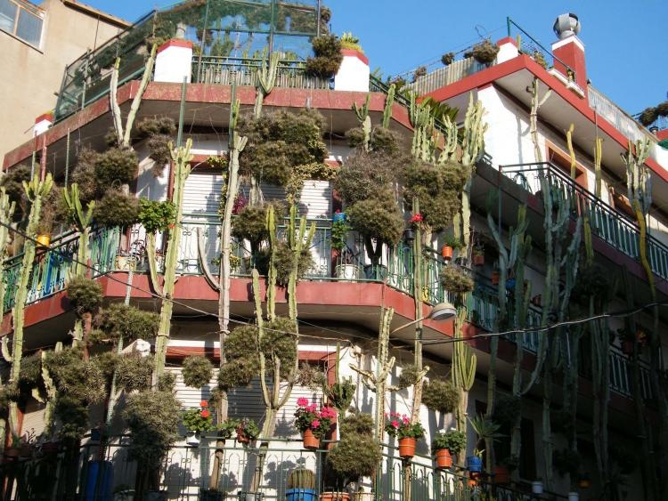 La Casa de Melilla en Barcelona degusta las bondades culturales de Calella