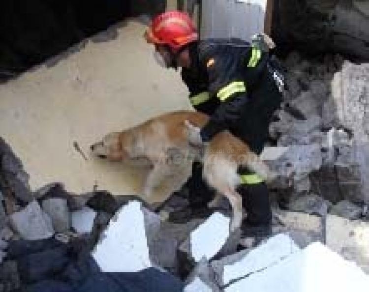 Melilla se vuelca con Intervención, Ayuda y Emergencias en su campaña pro-Haití