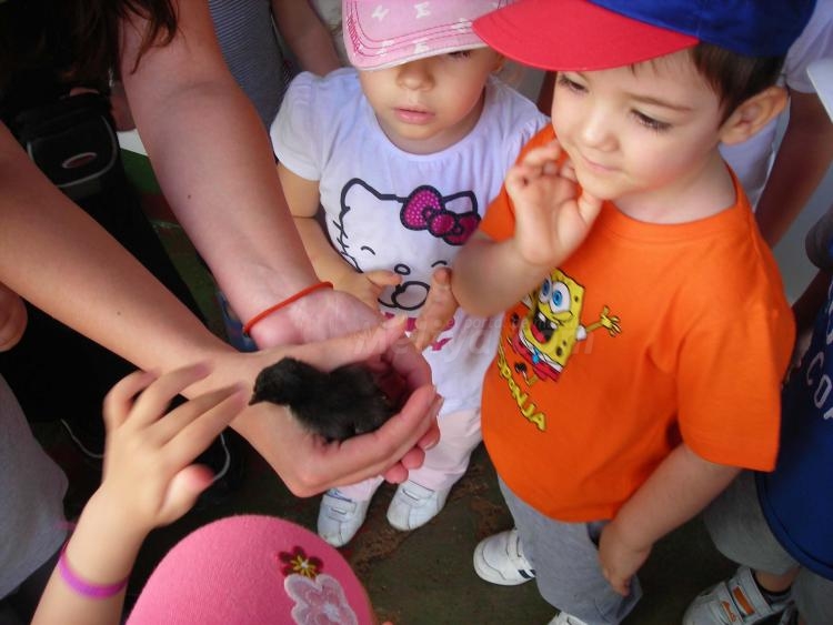 Los 'peques' del Enrique Soler disfrutan de una jornada medioambiental en la Granja Escuela