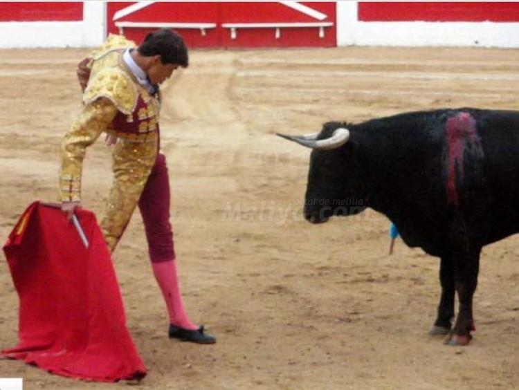 Adolfo Ramos: La hora de la verdad en una plaza de primera, Málaga