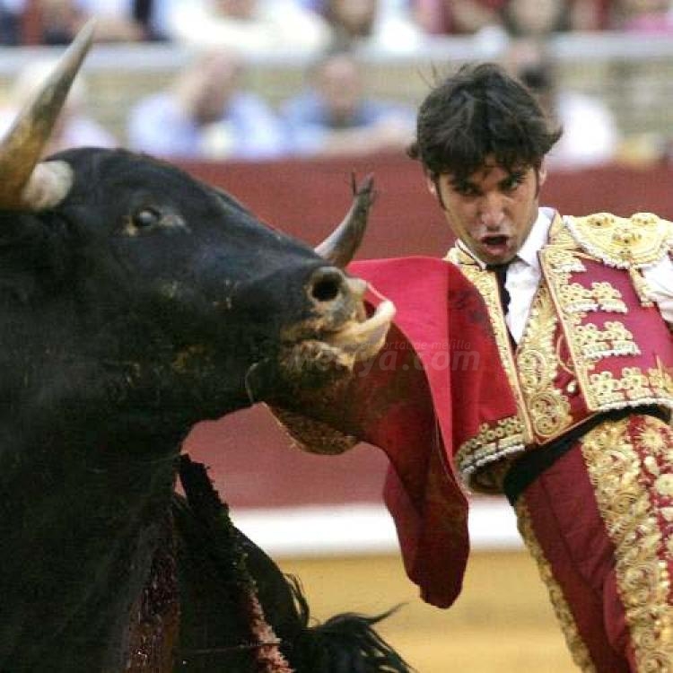 Cartelería taurina para la Feria de Septiembre 2010