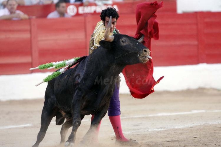 Crece la Melilla taurina en uno de los peores momentos de la Fiesta Nacional