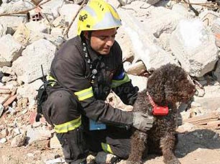 IAE Melilla, preparados para colaborar solidariamente con Haití
