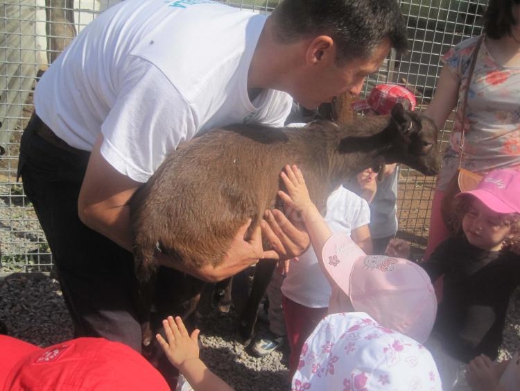 Los 'peques' del Enrique Soler disfrutan de una jornada medioambiental en la Granja Escuela