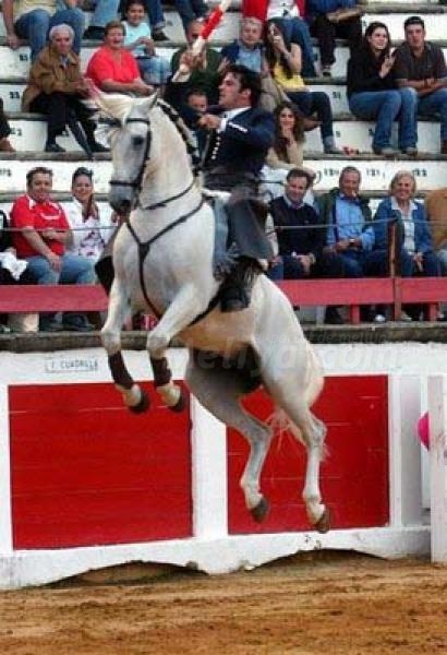 Cartelería taurina para la Feria de Septiembre 2010