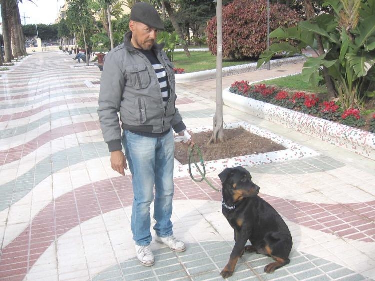 El rottweiler de Miguel Ángel es un amor