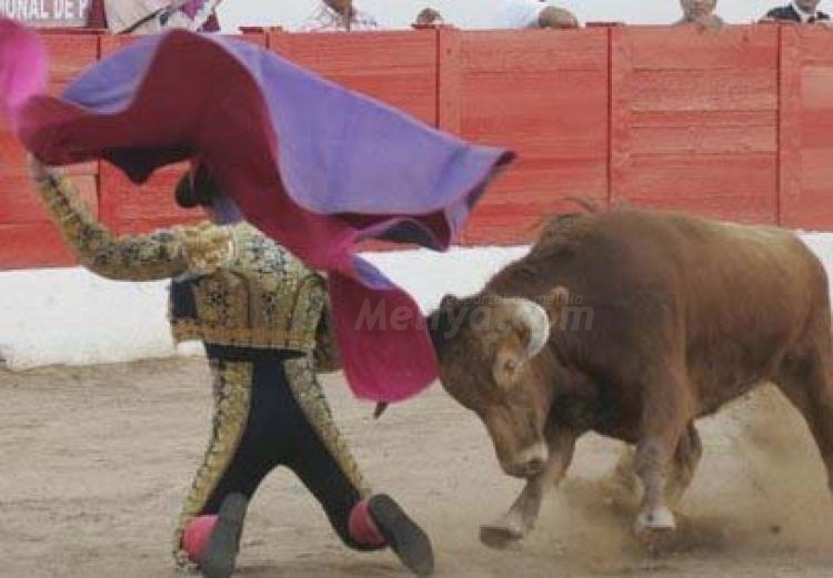 Más cornás da el hambre